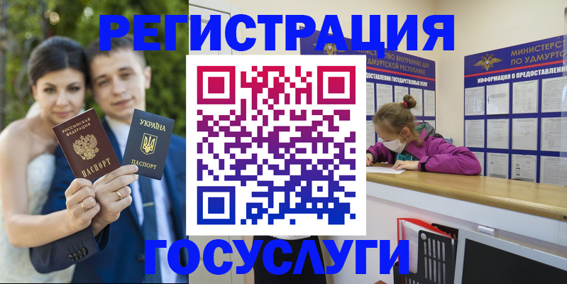прописка поиск в Новороссийске
